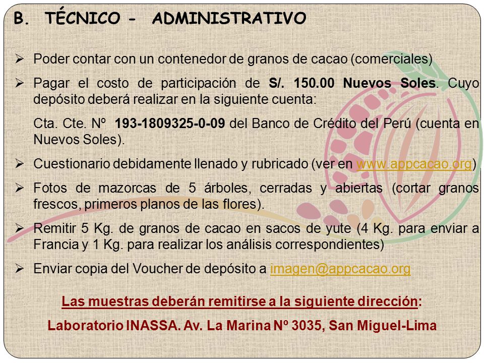 B. TÉCNICO - ADMINISTRATIVO