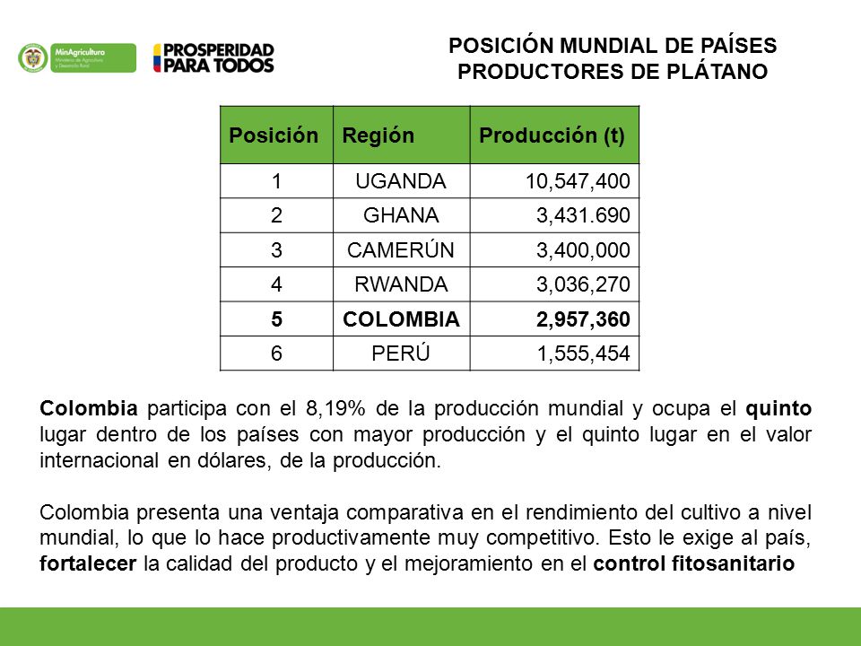 POSICIÓN MUNDIAL DE PAÍSES PRODUCTORES DE PLÁTANO