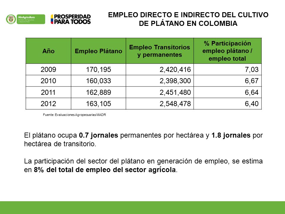 EMPLEO DIRECTO E INDIRECTO DEL CULTIVO DE PLÁTANO EN COLOMBIA