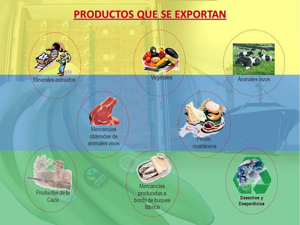 PRODUCTOS QUE SE EXPORTAN