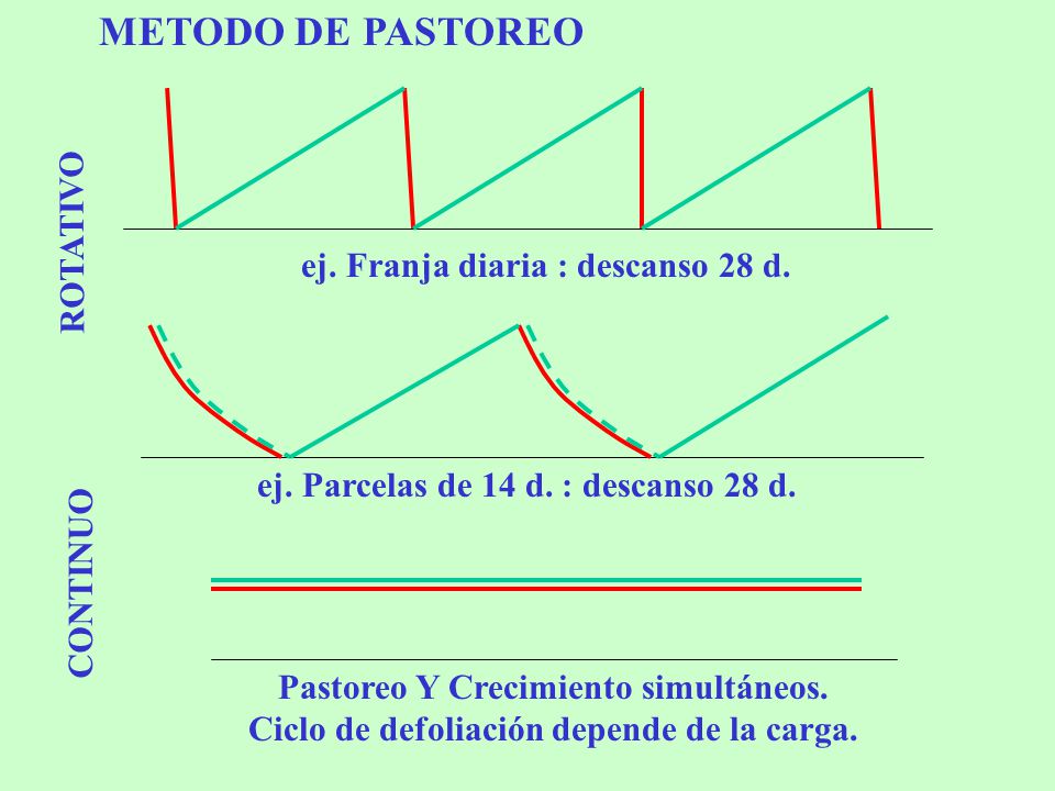 METODO DE PASTOREO ROTATIVO ej. Franja diaria : descanso 28 d.