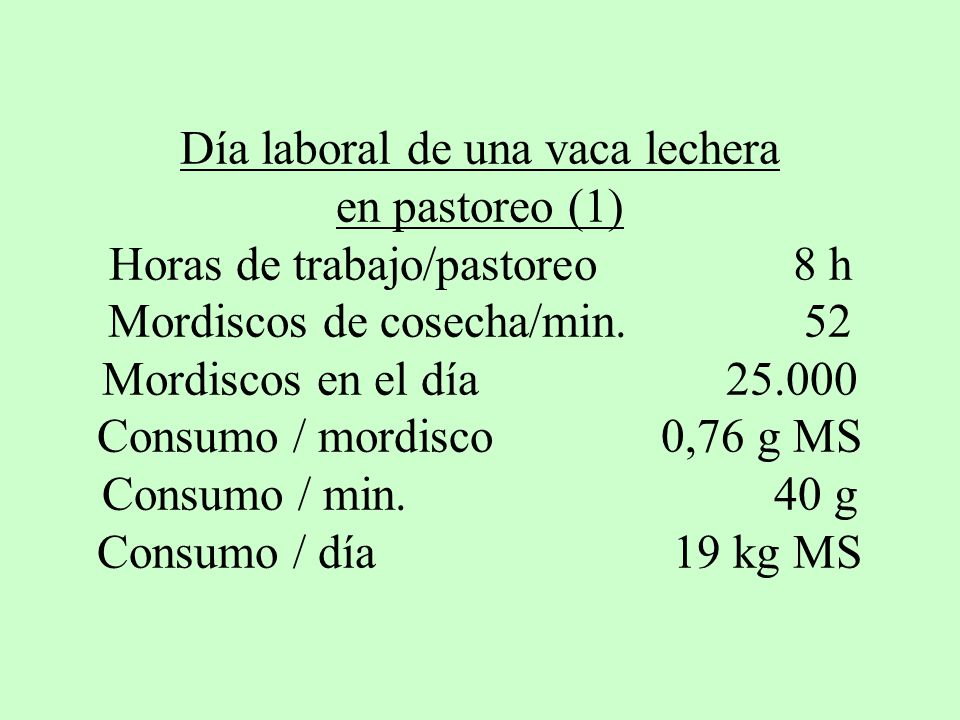 Día laboral de una vaca lechera en pastoreo (1) Horas de trabajo/pastoreo 8 h Mordiscos de cosecha/min. 52 Mordiscos en el día Consumo / mordisco 0,76 g MS Consumo / min. 40 g Consumo / día 19 kg MS