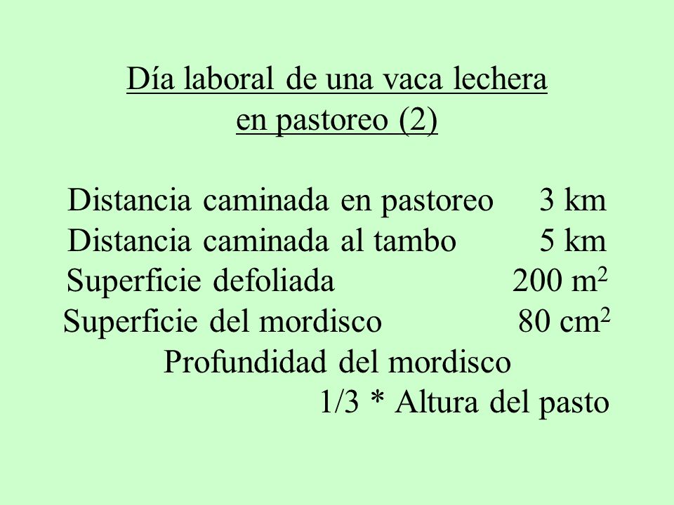 Día laboral de una vaca lechera en pastoreo (2) Distancia caminada en pastoreo 3 km Distancia caminada al tambo 5 km Superficie defoliada 200 m2 Superficie del mordisco 80 cm2 Profundidad del mordisco 1/3 * Altura del pasto