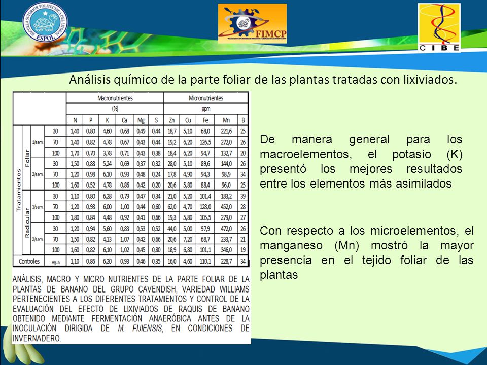 Análisis químico de la parte foliar de las plantas tratadas con lixiviados.