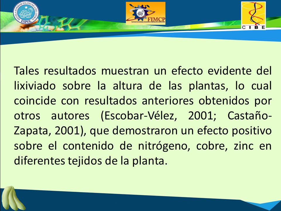 Tales resultados muestran un efecto evidente del lixiviado sobre la altura de las plantas, lo cual coincide con resultados anteriores obtenidos por otros autores (Escobar-Vélez, 2001; Castaño- Zapata, 2001), que demostraron un efecto positivo sobre el contenido de nitrógeno, cobre, zinc en diferentes tejidos de la planta.