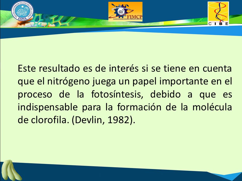 Este resultado es de interés si se tiene en cuenta que el nitrógeno juega un papel importante en el proceso de la fotosíntesis, debido a que es indispensable para la formación de la molécula de clorofila.