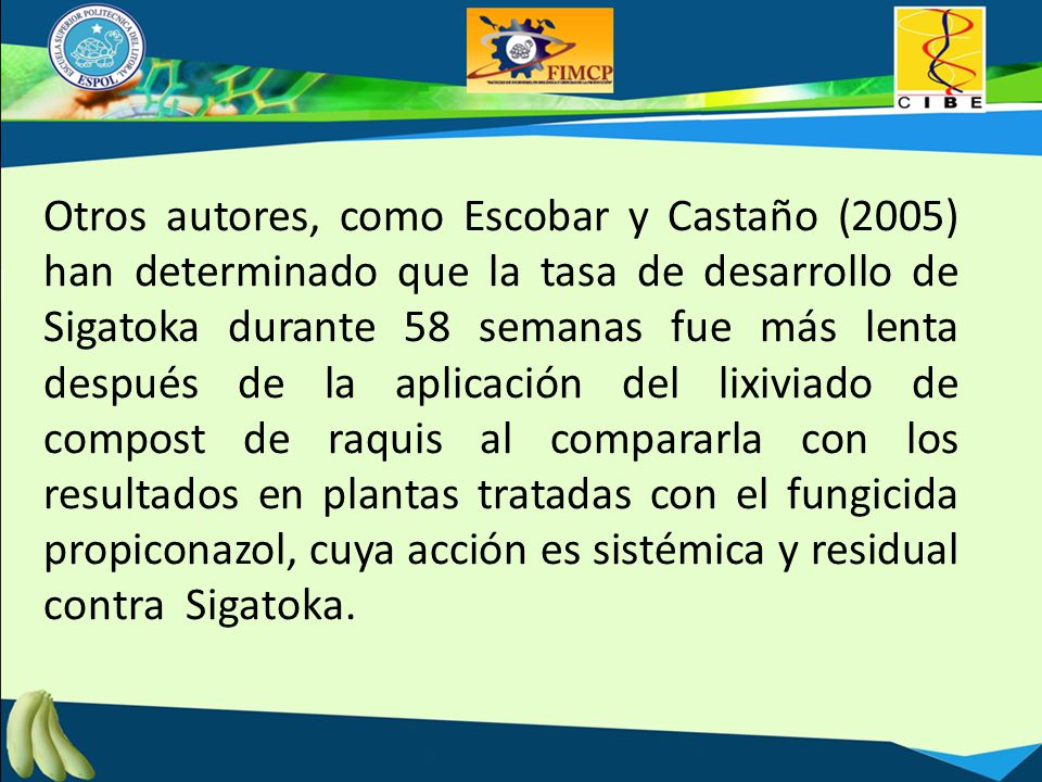 Otros autores, como Escobar y Castaño (2005) han determinado que la tasa de desarrollo de Sigatoka durante 58 semanas fue más lenta después de la aplicación del lixiviado de compost de raquis al compararla con los resultados en plantas tratadas con el fungicida propiconazol, cuya acción es sistémica y residual contra Sigatoka.