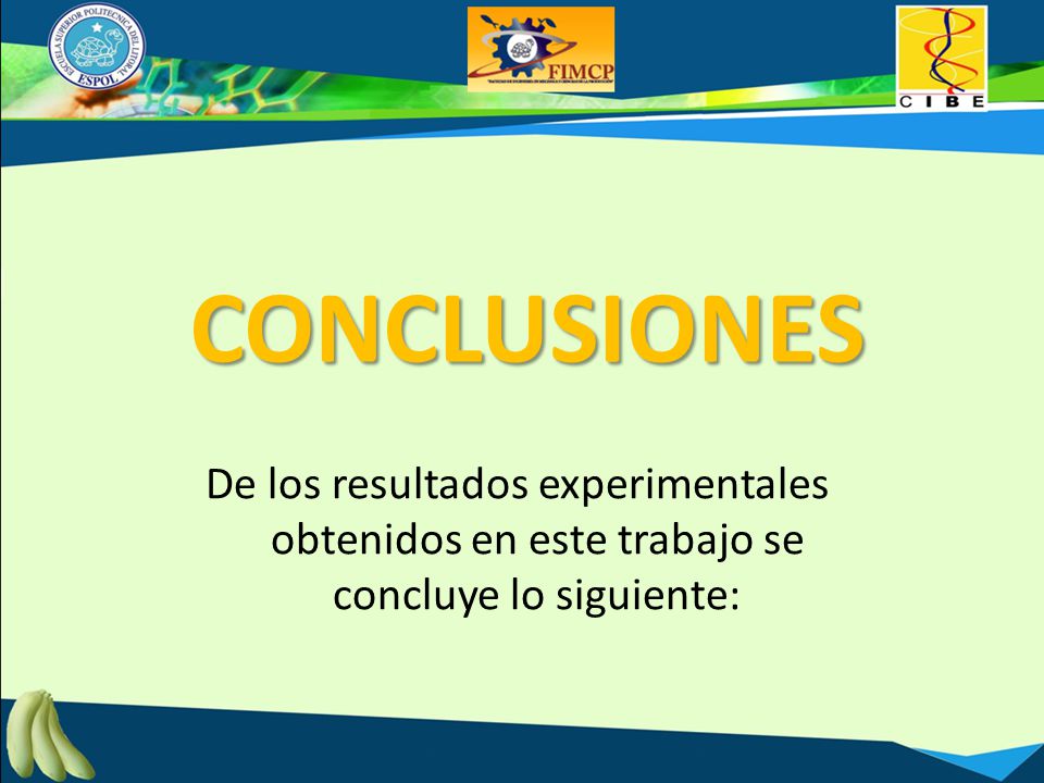 CONCLUSIONES De los resultados experimentales obtenidos en este trabajo se concluye lo siguiente: