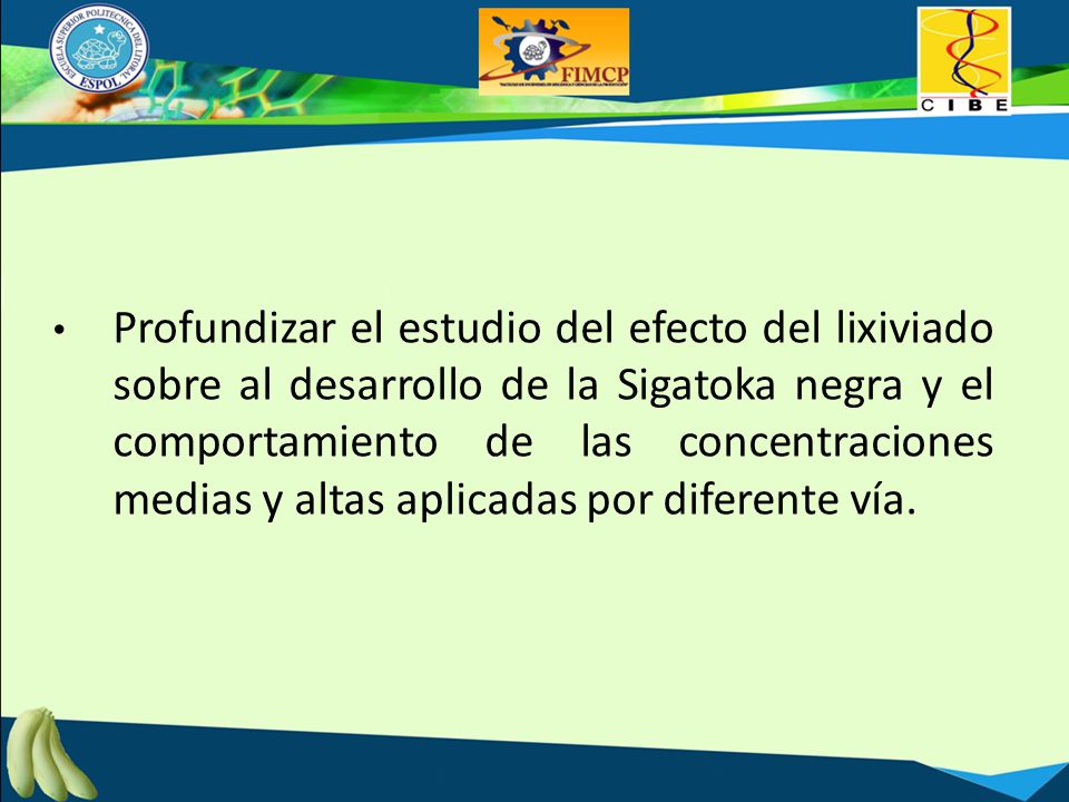 Profundizar el estudio del efecto del lixiviado sobre al desarrollo de la Sigatoka negra y el comportamiento de las concentraciones medias y altas aplicadas por diferente vía.