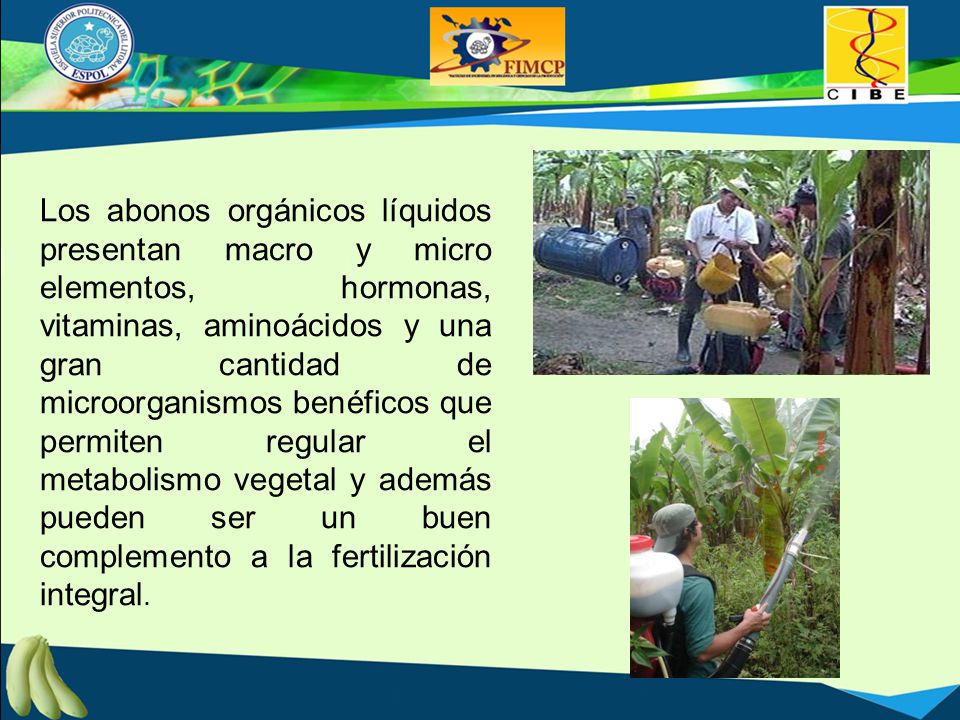 Los abonos orgánicos líquidos presentan macro y micro elementos, hormonas, vitaminas, aminoácidos y una gran cantidad de microorganismos benéficos que permiten regular el metabolismo vegetal y además pueden ser un buen complemento a la fertilización integral.