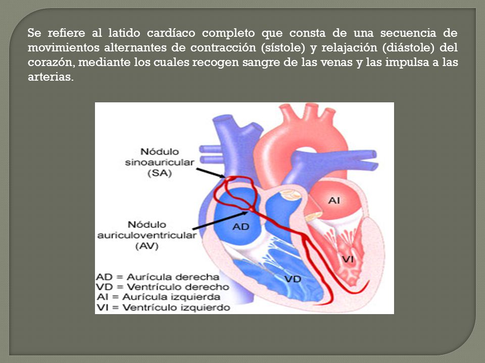Se refiere al latido cardíaco completo que consta de una secuencia de movimientos alternantes de contracción (sístole) y relajación (diástole) del corazón, mediante los cuales recogen sangre de las venas y las impulsa a las arterias.