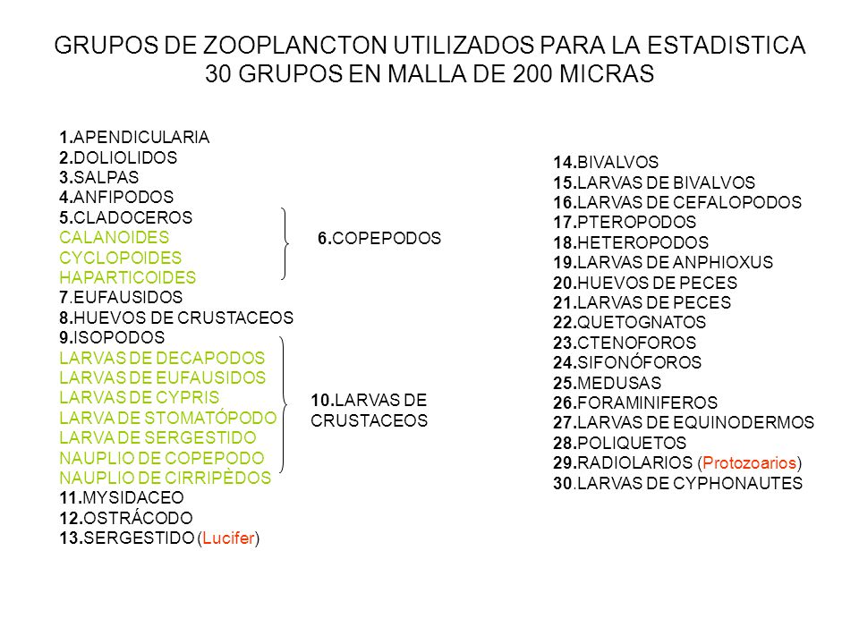 GRUPOS DE ZOOPLANCTON UTILIZADOS PARA LA ESTADISTICA 30 GRUPOS EN MALLA DE 200 MICRAS