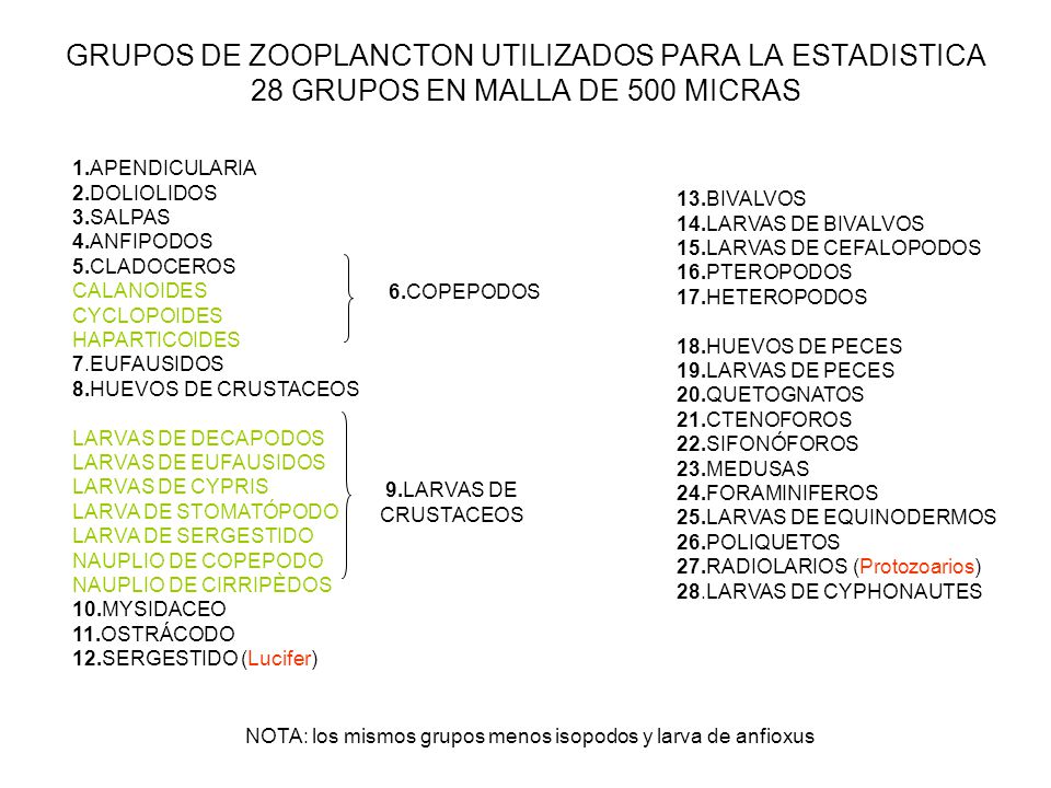 NOTA: los mismos grupos menos isopodos y larva de anfioxus