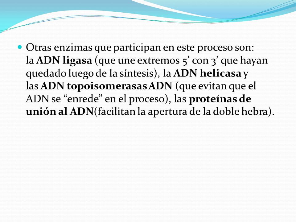 Otras enzimas que participan en este proceso son: la ADN ligasa (que une extremos 5’ con 3’ que hayan quedado luego de la síntesis), la ADN helicasa y las ADN topoisomerasas ADN (que evitan que el ADN se enrede en el proceso), las proteínas de unión al ADN(facilitan la apertura de la doble hebra).