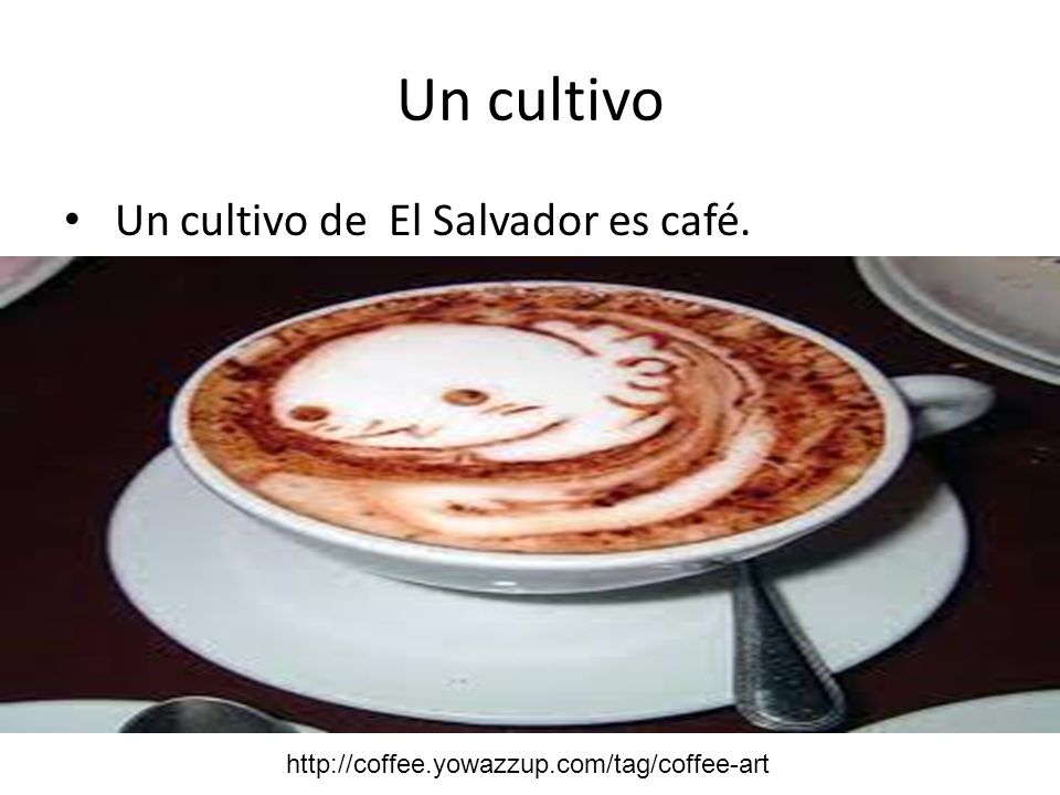 Un cultivo Un cultivo de El Salvador es café.