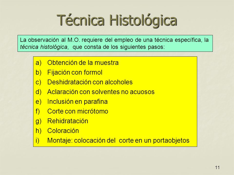 Técnica Histológica Obtención de la muestra Fijación con formol