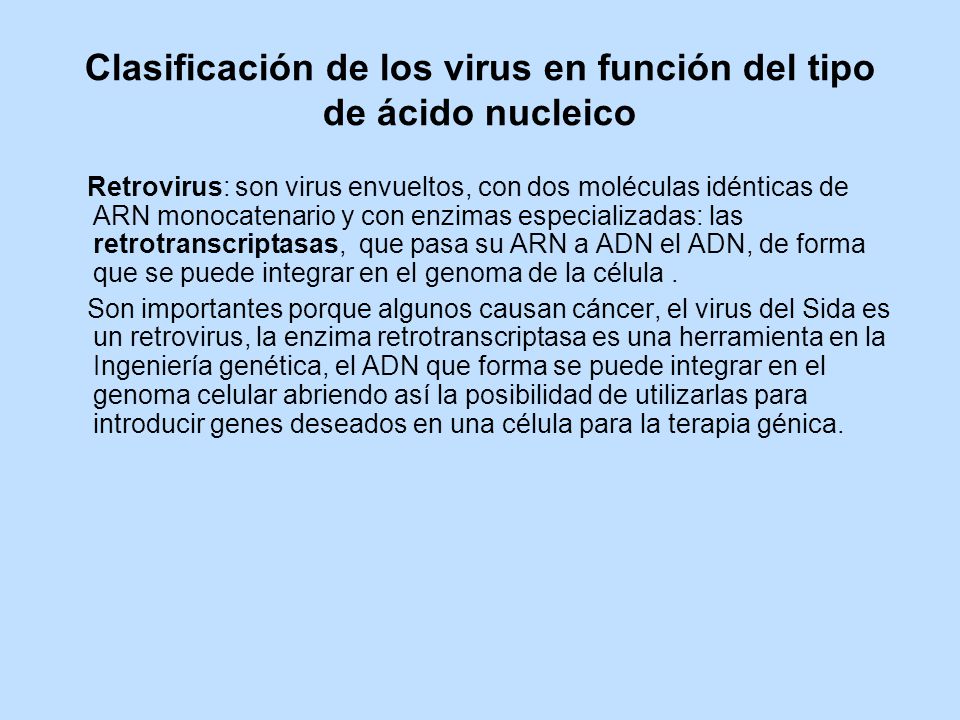 Clasificación de los virus en función del tipo de ácido nucleico
