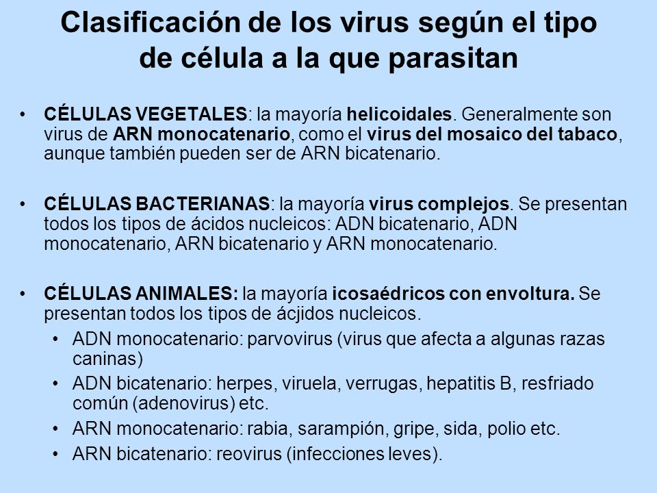 Clasificación de los virus según el tipo de célula a la que parasitan