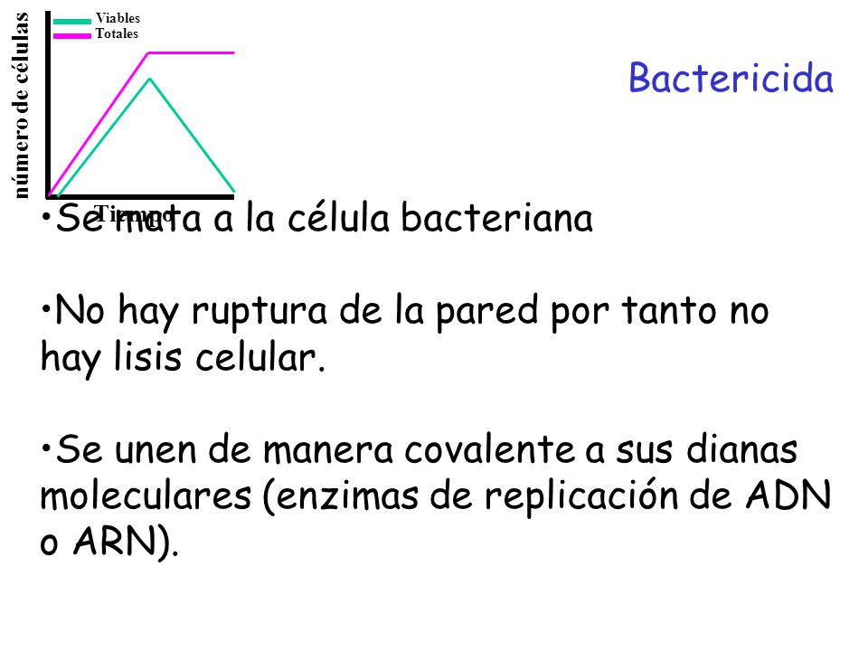 Se mata a la célula bacteriana