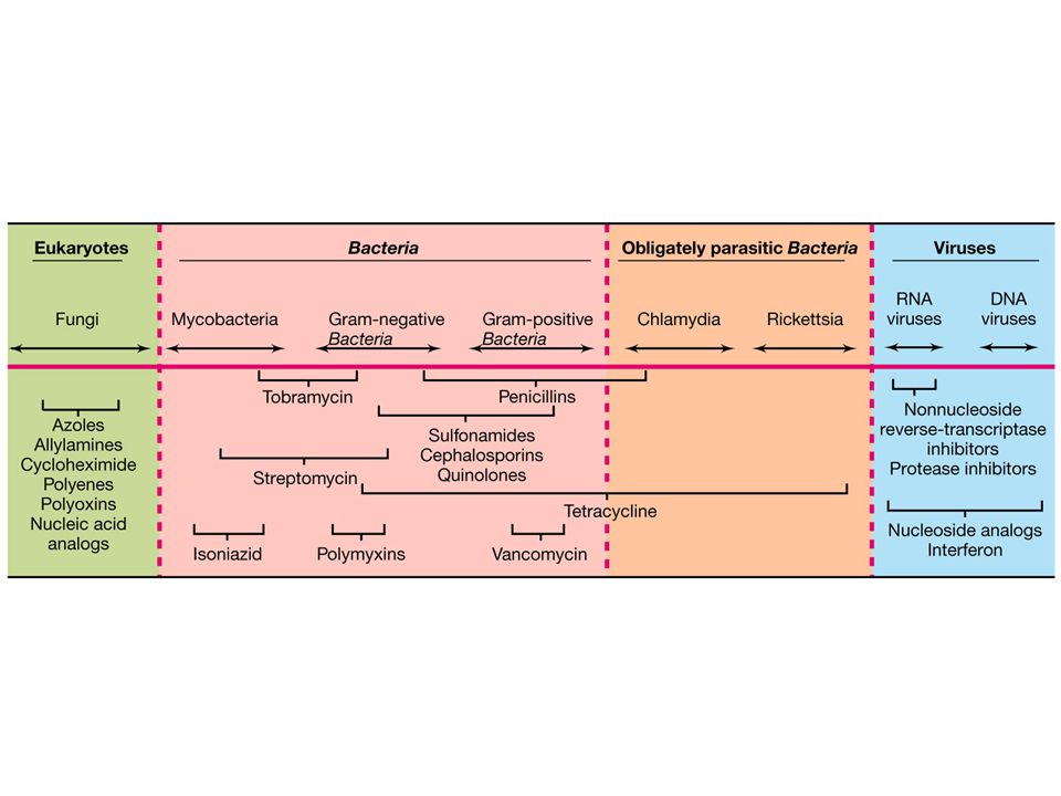 Figure: Caption: Antimicrobial spectrum of action for selected chemotherapeutic agents.