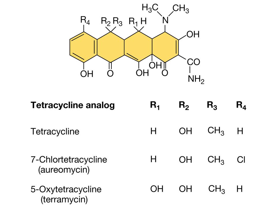 Figure: Caption: Structure of tetracycline and important semisynthetic analog