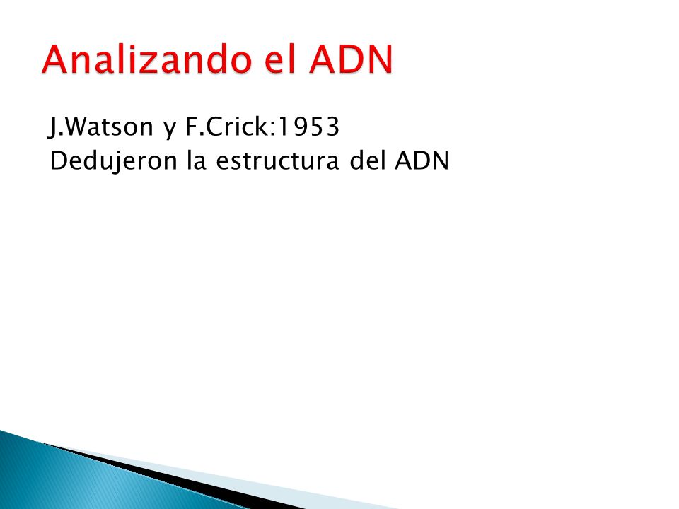 Analizando el ADN J.Watson y F.Crick:1953 Dedujeron la estructura del ADN