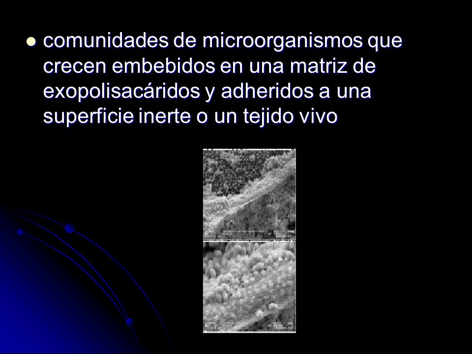 comunidades de microorganismos que crecen embebidos en una matriz de exopolisacáridos y adheridos a una superficie inerte o un tejido vivo