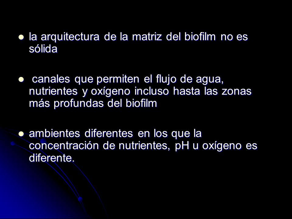 la arquitectura de la matriz del biofilm no es sólida