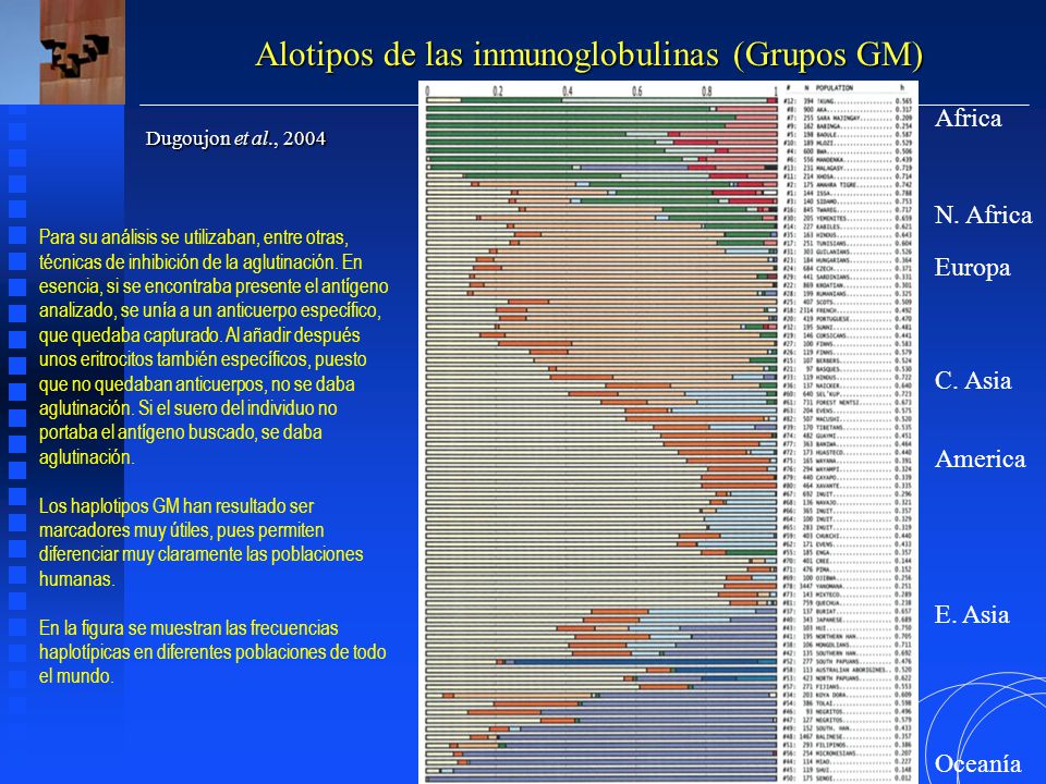Alotipos de las inmunoglobulinas (Grupos GM)