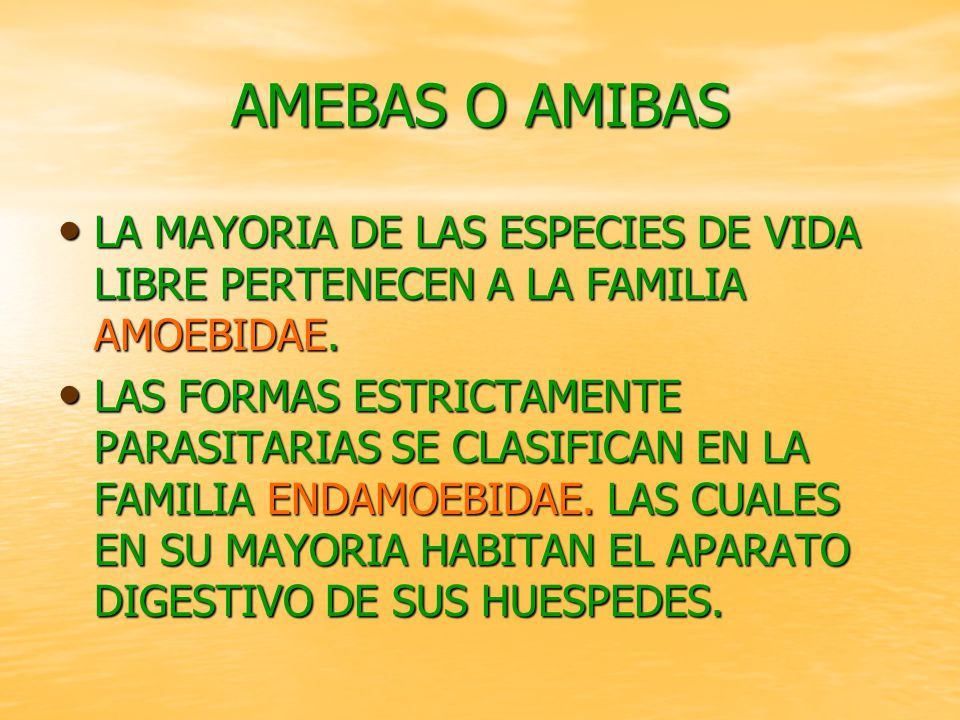 AMEBAS O AMIBAS LA MAYORIA DE LAS ESPECIES DE VIDA LIBRE PERTENECEN A LA FAMILIA AMOEBIDAE.