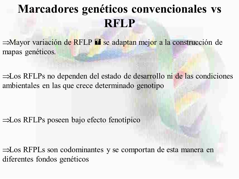 Marcadores genéticos convencionales vs RFLP