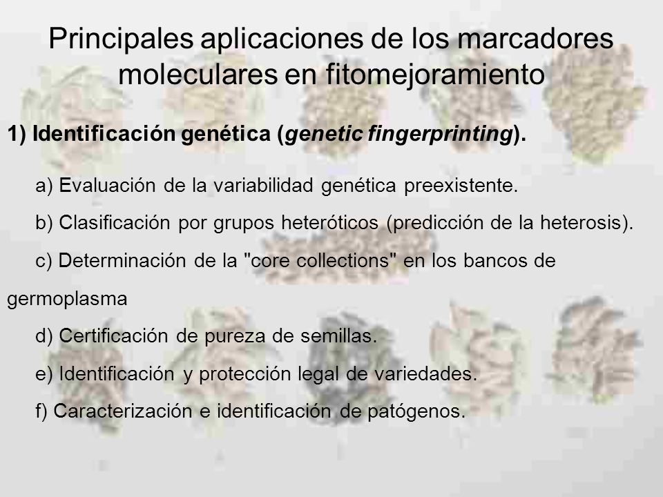 Principales aplicaciones de los marcadores moleculares en fitomejoramiento