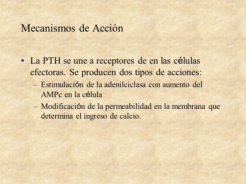 Mecanismos de Acción La PTH se une a receptores de en las células efectoras. Se producen dos tipos de acciones: