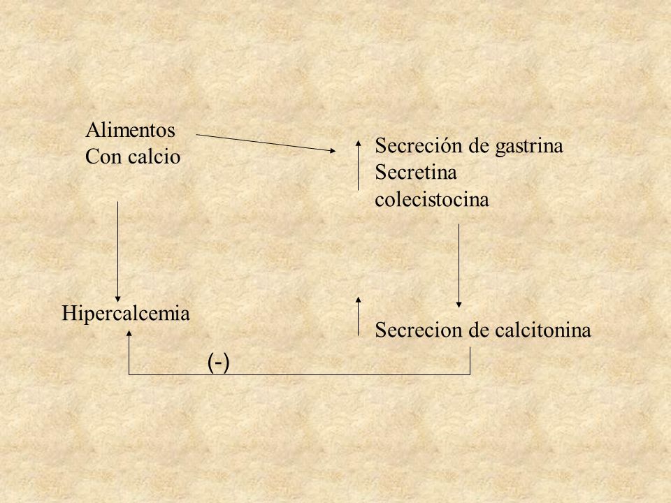 Alimentos Con calcio. Secreción de gastrina. Secretina. colecistocina. Hipercalcemia. Secrecion de calcitonina.