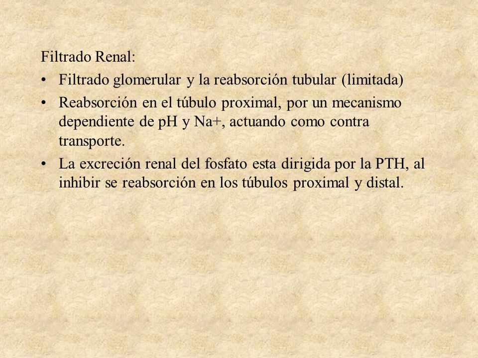 Filtrado Renal: Filtrado glomerular y la reabsorción tubular (limitada)