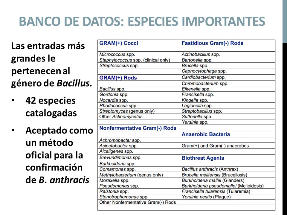 Banco de datos: especies importantes