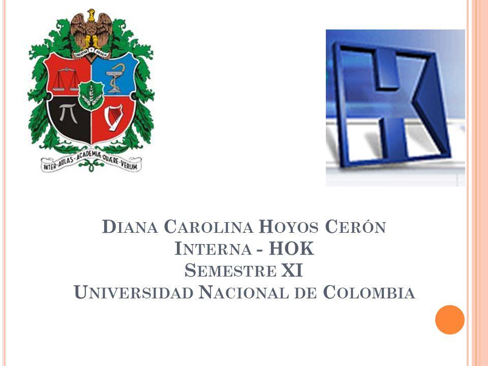 Diana Carolina Hoyos Cerón Interna - HOK Semestre XI Universidad Nacional de Colombia