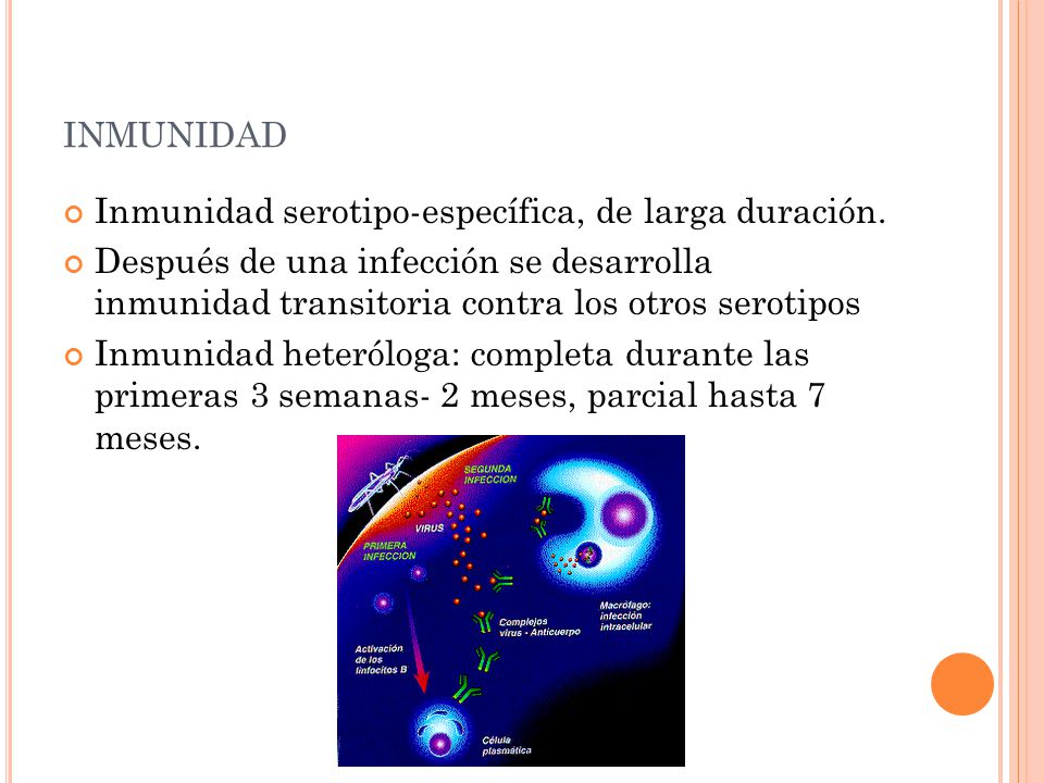 inmunidad Inmunidad serotipo-específica, de larga duración.