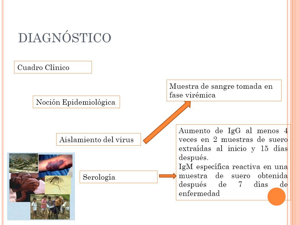 DIAGNÓSTICO Cuadro Clínico Muestra de sangre tomada en fase virémica