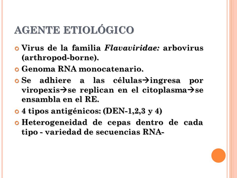 AGENTE ETIOLÓGICO Virus de la familia Flavaviridae: arbovirus (arthropod-borne). Genoma RNA monocatenario.