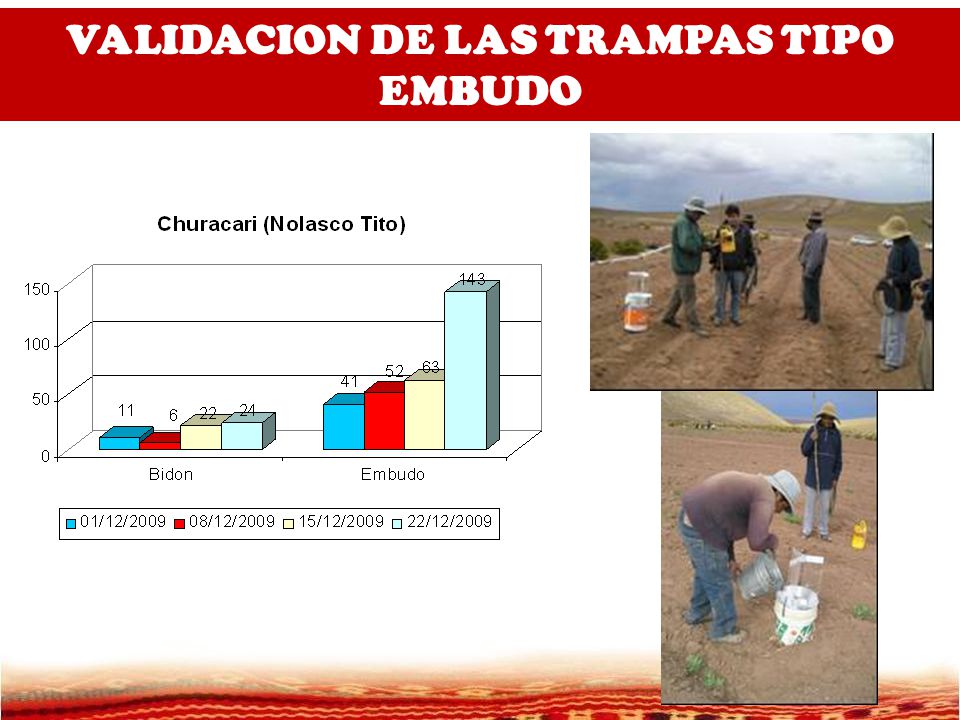 VALIDACION DE LAS TRAMPAS TIPO EMBUDO