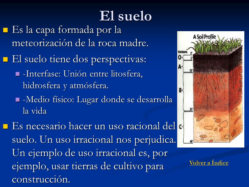El suelo Es la capa formada por la meteorización de la roca madre.