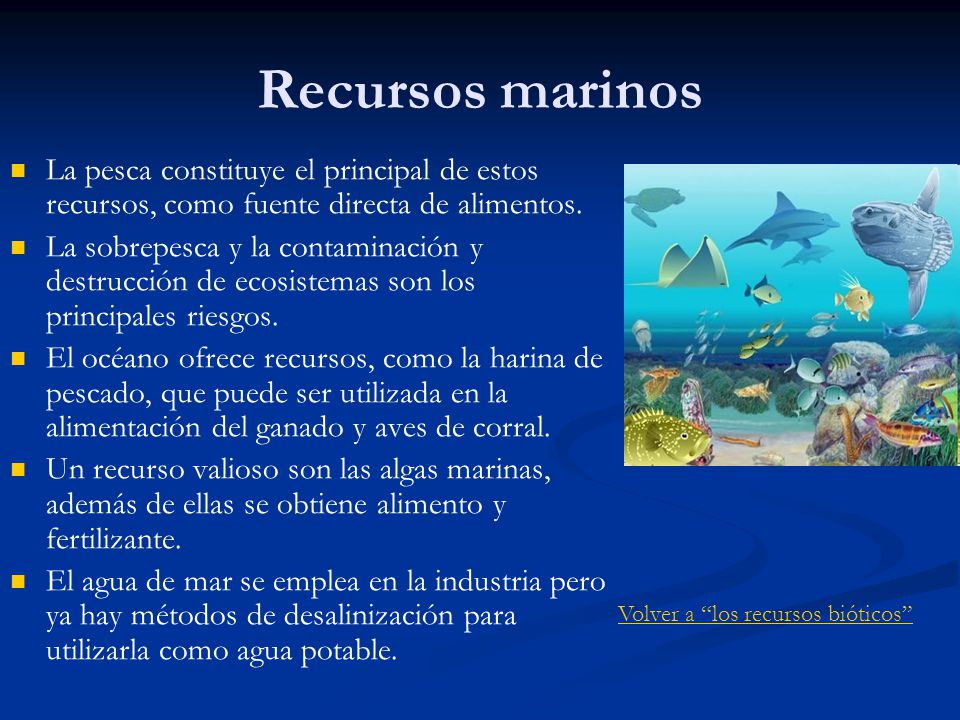 Recursos marinos La pesca constituye el principal de estos recursos, como fuente directa de alimentos.