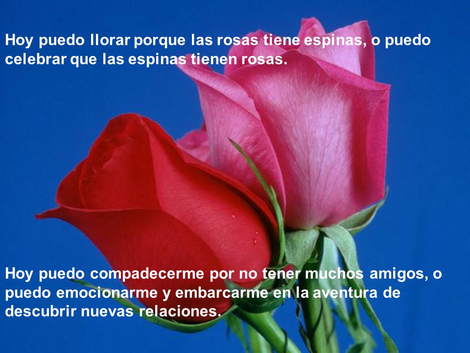 Hoy puedo llorar porque las rosas tiene espinas, o puedo celebrar que las espinas tienen rosas.