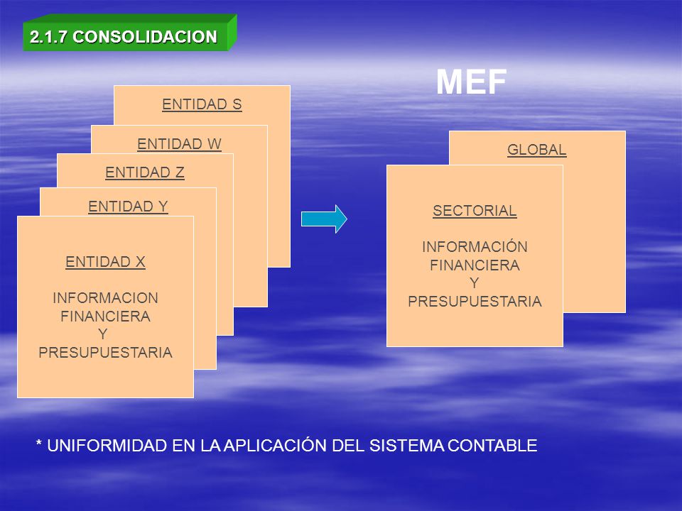2.1.7 CONSOLIDACION MEF. ENTIDAD S. ENTIDAD W. GLOBAL. ENTIDAD Z. SECTORIAL. INFORMACIÓN. FINANCIERA.