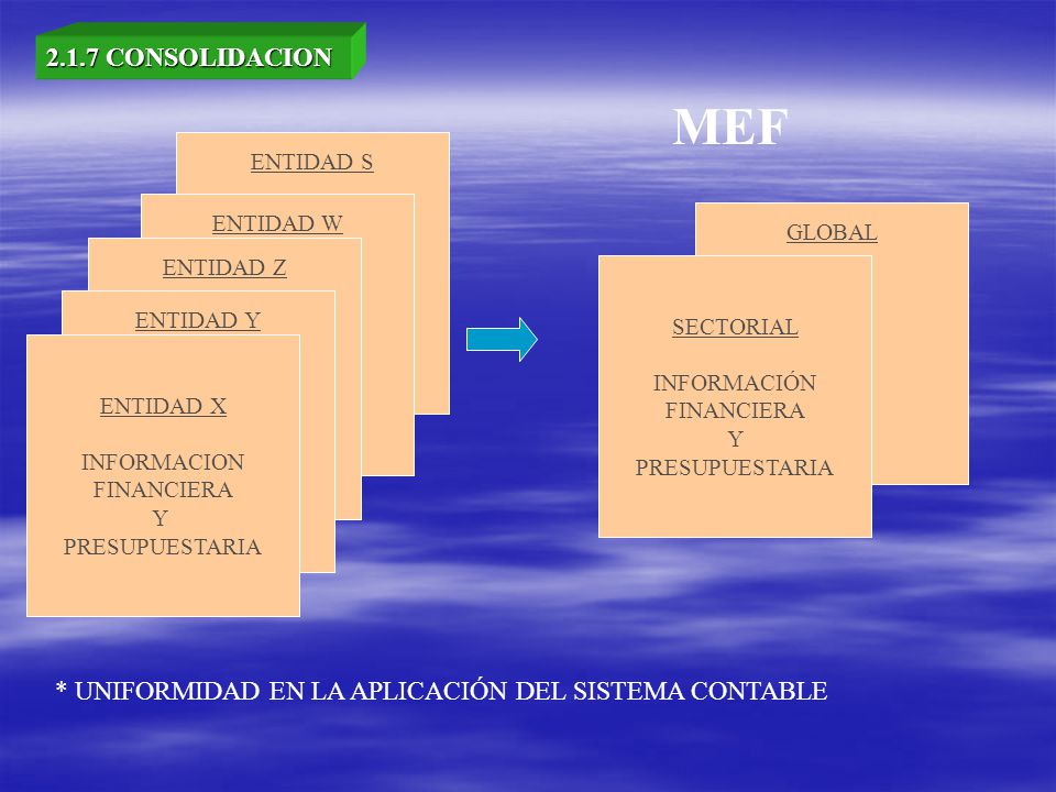 2.1.7 CONSOLIDACION MEF. ENTIDAD S. ENTIDAD W. GLOBAL. ENTIDAD Z. SECTORIAL. INFORMACIÓN. FINANCIERA.