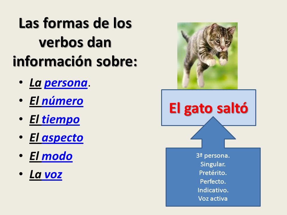 Las formas de los verbos dan información sobre: