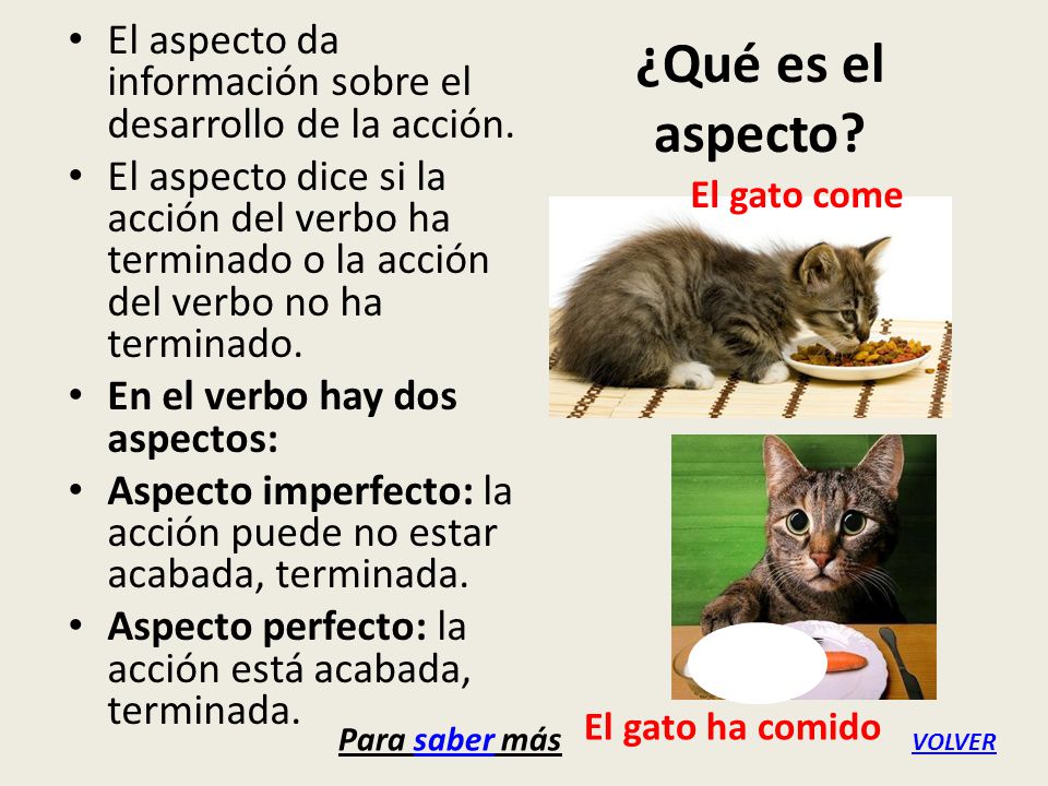 El aspecto da información sobre el desarrollo de la acción.
