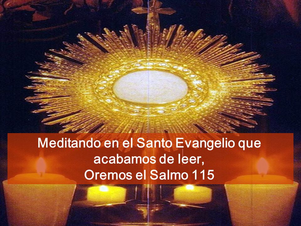 Meditando en el Santo Evangelio que acabamos de leer,