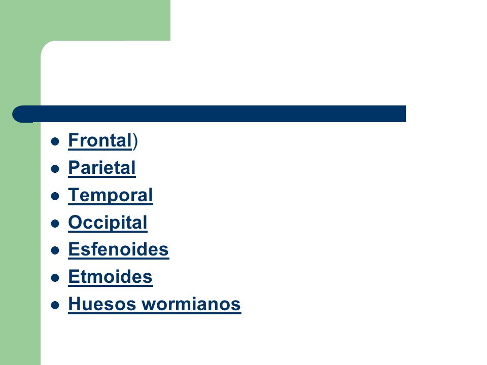 Frontal) Parietal Temporal Occipital Esfenoides Etmoides Huesos wormianos